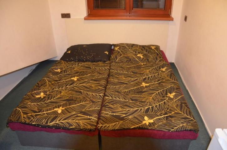 Homestay Ubytovani Ceska Skalice